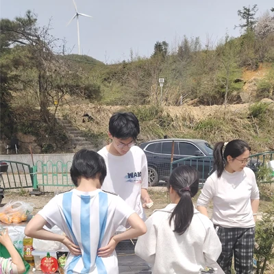 Đi chơi mùa xuân trong Qingming